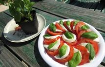 意式西红柿沙拉Caprese Salad - 黎昕的阳光厨房