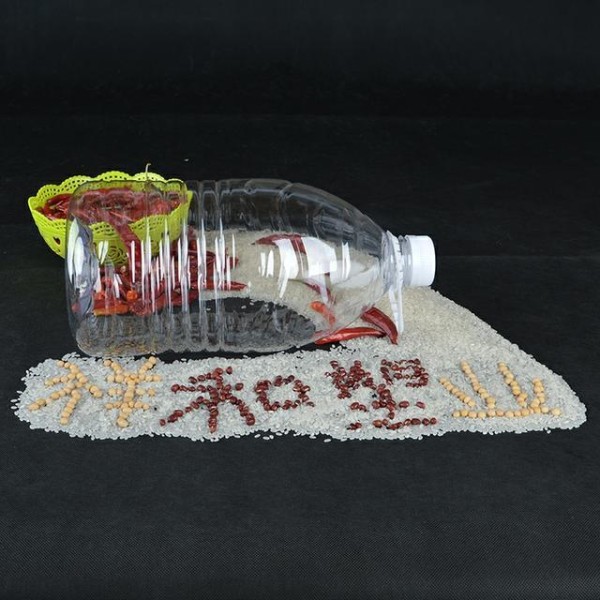 学会这几招，旧物品变废为宝