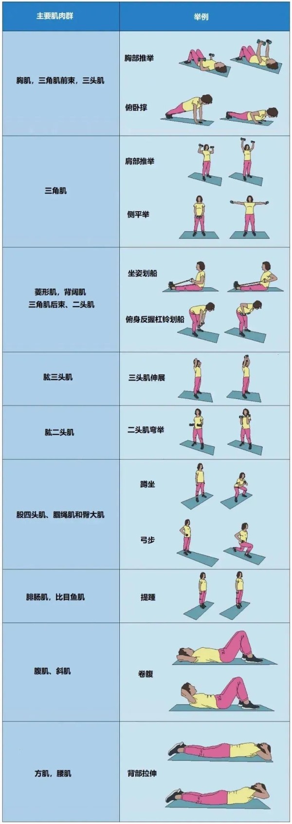 每周2次这类运动，有助于改善心血管功能