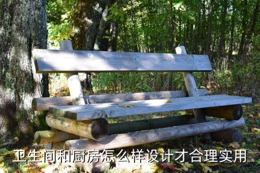 卫生间和厨房怎么样设计才合理实用