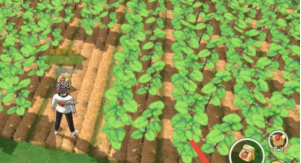游戏资讯-小森生活种植等级怎么提升 生活技能提升方法攻略