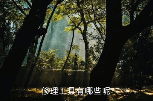 修理工具有哪些呢