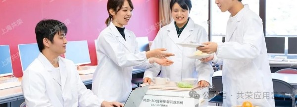 SAT-3D：革新长寿饮食的革命性工具