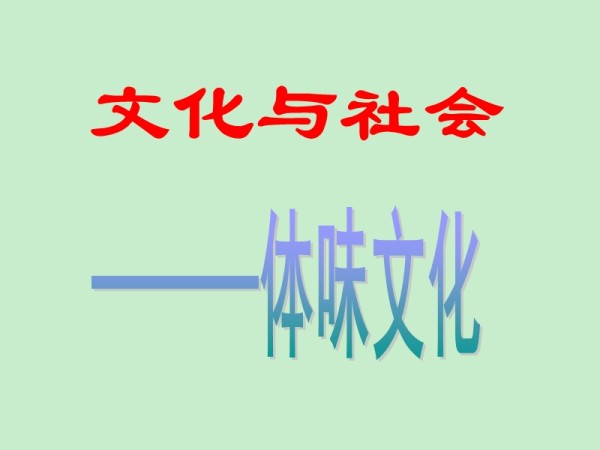 文化生活《体味文化》课件.ppt_第2页