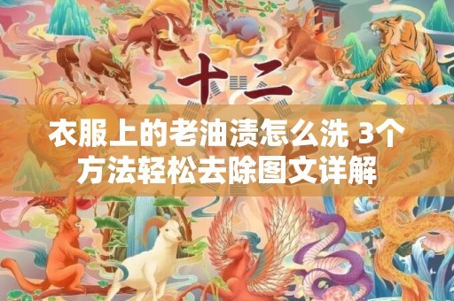 衣服上的老油渍怎么洗 3个方法轻松去除图文详解