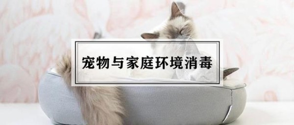 家养宠物的注意了！以下清洁消毒细节没做到，小心健康拉警报
