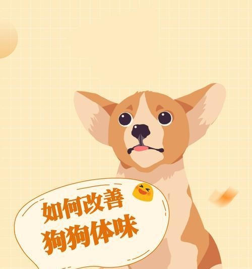 关于养小狗的注意事项（打造健康快乐的小狗生活）