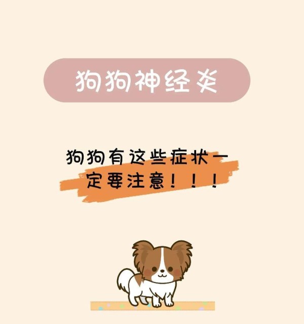 关于养小狗的注意事项（打造健康快乐的小狗生活）