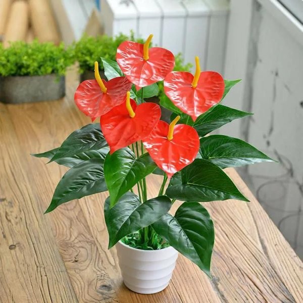 家中什么方位不能放绿植植物