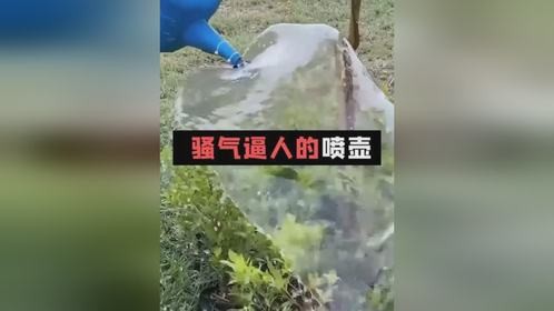 浇花浇菜喷壶改造一下效果惊人，太骚气了！