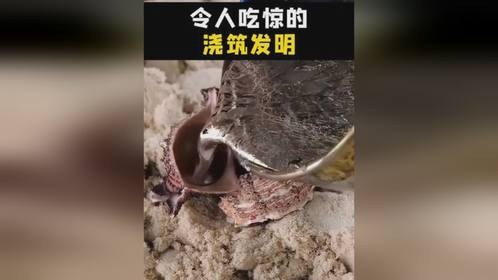令人吃惊的浇筑发明，求婚项链。