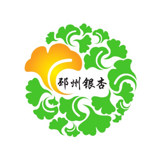 邳州银杏