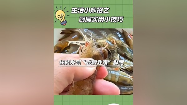 Thumbplayer Poster Plugin Image