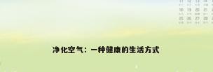 净化空气：一种健康的生活方式