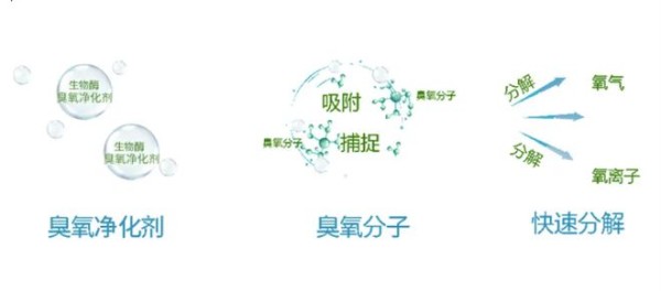 空气净化中常用的几种方法你了解多少JDB电子？(图4)