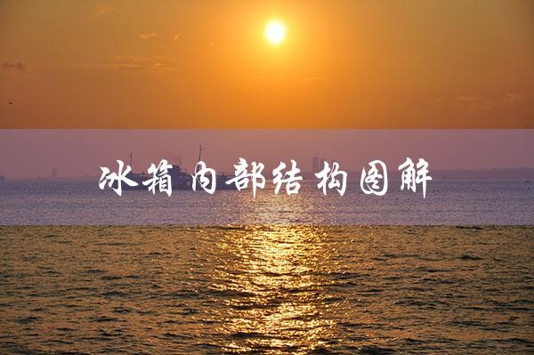 冰箱内部结构图解（冰箱内部结构与原理是什么）