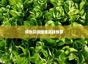 绿色环保健康品牌推荐