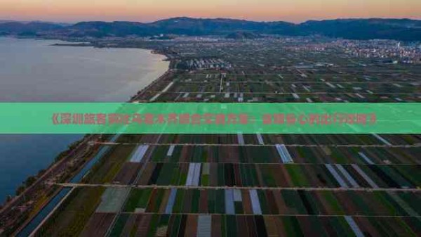 《深圳旅客前往乌鲁木齐综合交通方案：省钱省心的出行攻略》