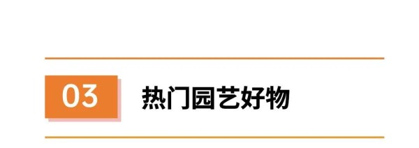 小类目大需求，老外就爱摆弄庭院花园，增长千亿美元市场！