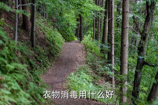 衣物消毒用什么好