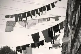 晒不干的衣服有味道?这些方法可以避免图片