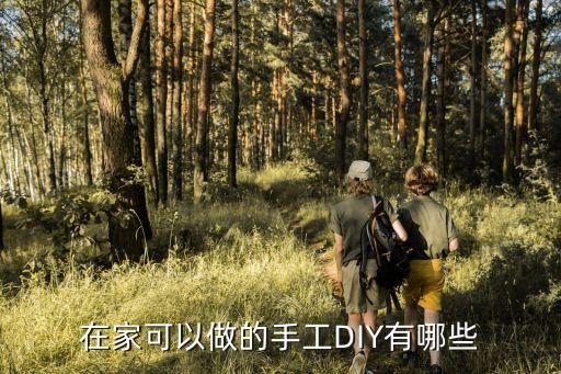 在家可以做的手工DIY有哪些