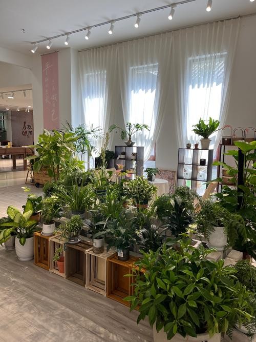 清新绿植愉悦工作心情