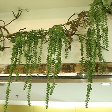 仿真项链珠藤条 仿真花 假花藤蔓 仿真叶子家居装饰 厂家直销