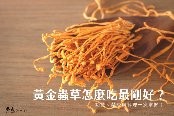 黃金蟲草怎麼吃最剛好？功效、禁忌與料理一次掌握！