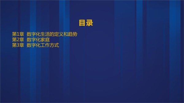 数字化生活2024年的科技与生活方式_第2页