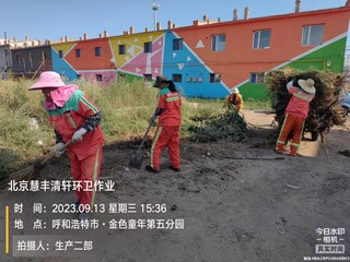  改善人居环境质量 提升环卫精细化水平——新城区环卫服务中心开展“三清理、三整治、四提升”行动（八十二）相关图片