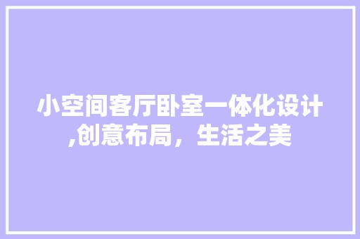 小空间客厅卧室一体化设计,创意布局，生活之美