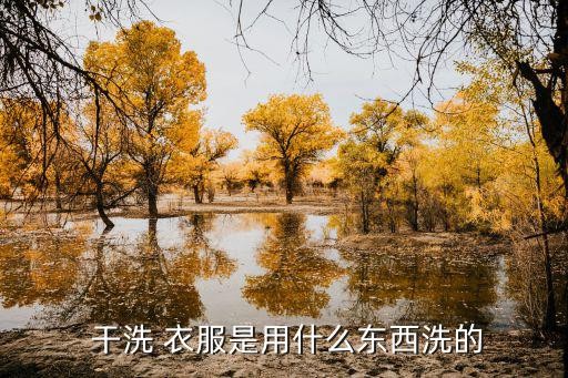  干洗 衣服是用什么东西洗的