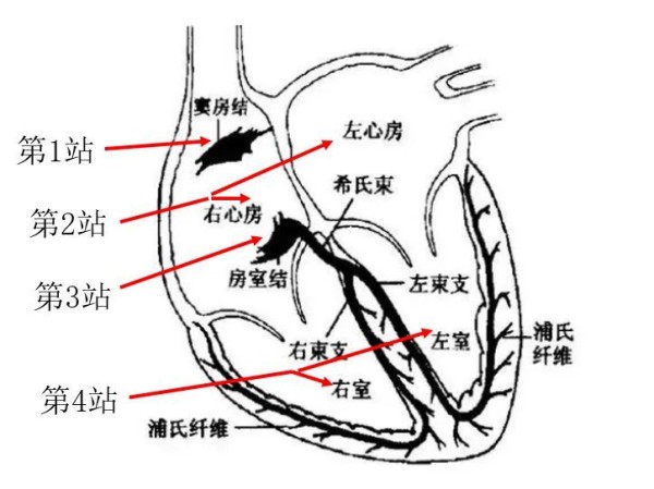 示意图.JPG
