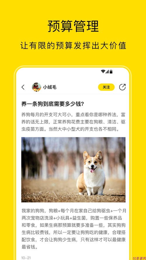 如何照顾小学生养的宠物？小学生养宠物的必备知识和技巧