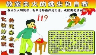 如何照顾小学生养的宠物？小学生养宠物的必备知识和技巧