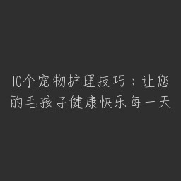 10个宠物护理技巧：让您的毛孩子健康快乐每一天