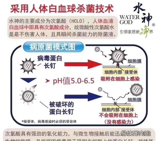 卫生间可以用84消毒液消毒吗,84消毒液喷厕所能消毒吗