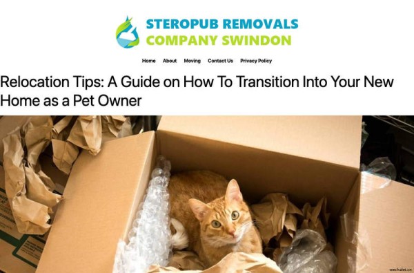 StereoPub Removals Company Swindon - Rated the Best Removals Company in Swindon