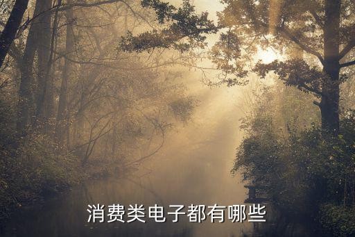 消费类电子都有哪些