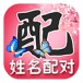 姓名配对