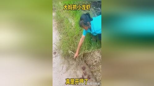 大妈抓小龙虾，真是开眼了