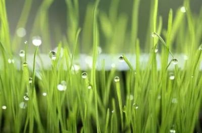 工作计划和生活计划5篇