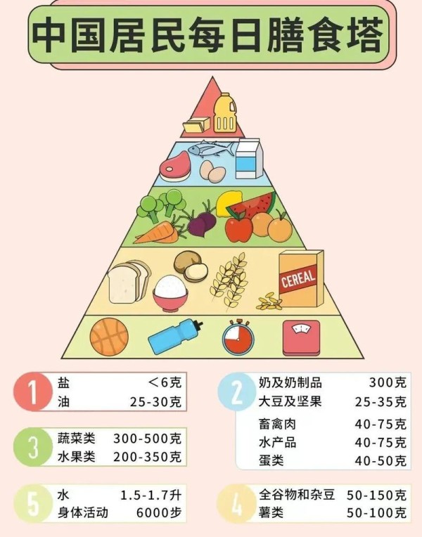 合理膳食图 合理膳食图片高清