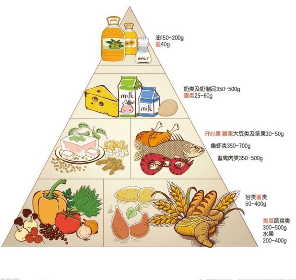 合理膳食图 合理膳食图片高清