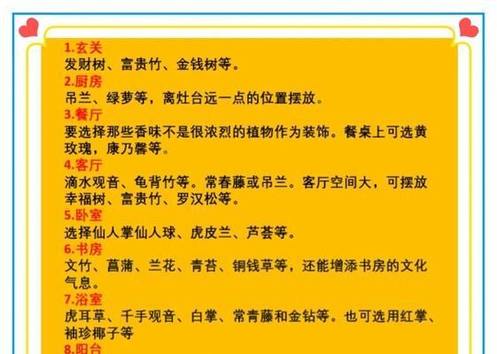 室内种植花草有哪些推荐？如何选择适合的室内植物？