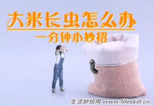 大米防虫有妙招