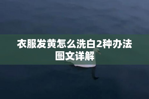 衣服发黄怎么洗白2种办法图文详解