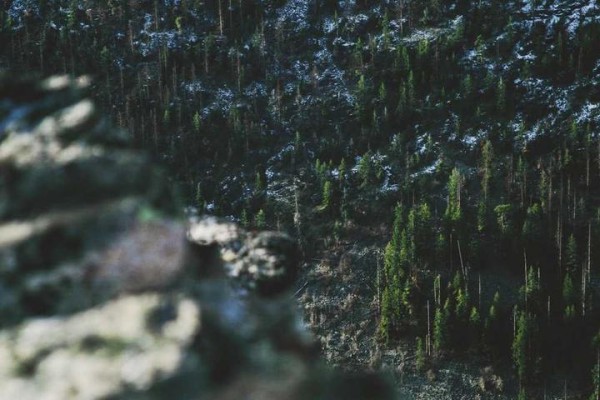 深圳通小程序使用指南：便捷交通出行全解析