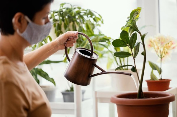 一名女士正用噴壺照顧室內植物,象徵以綠色植物作為輔助方式去改善甲醛問題與空氣質素。